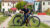 E-Bike DUOTTS C29L